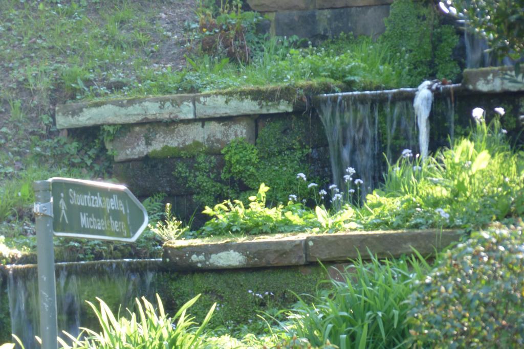 Colibri Apartment Baden-Baden Esterno foto