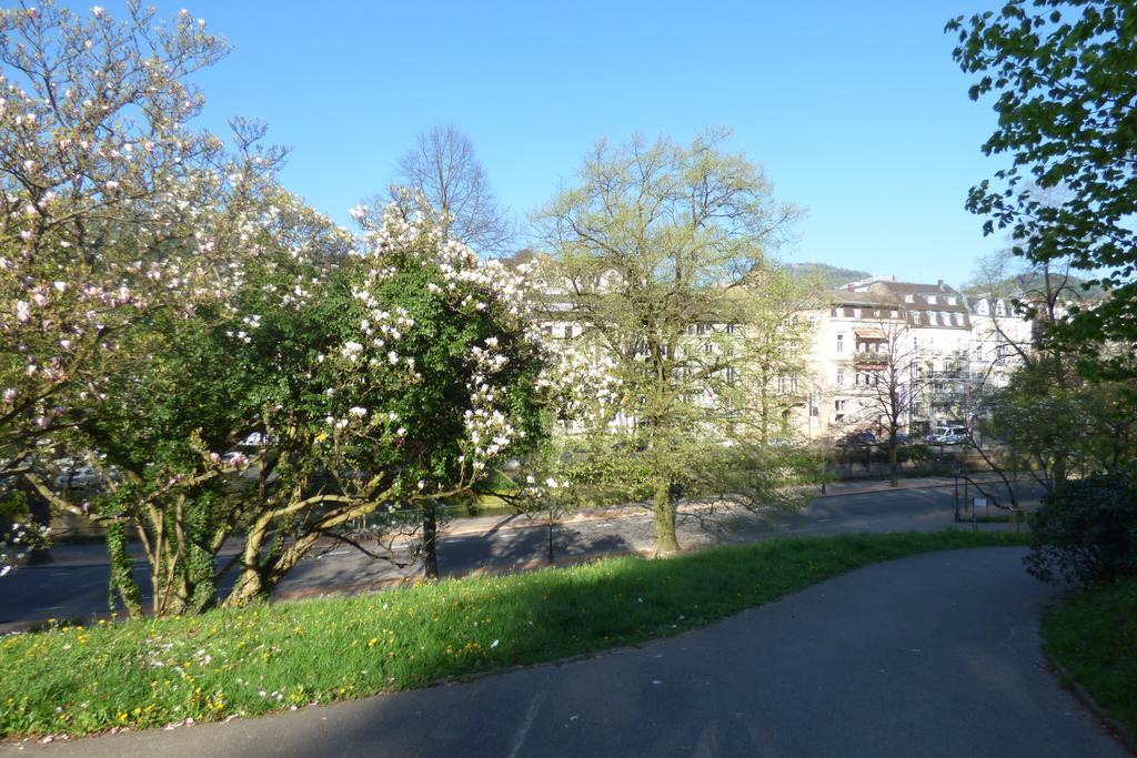 Colibri Apartment Baden-Baden Esterno foto
